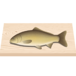 まな板の鯉の画像